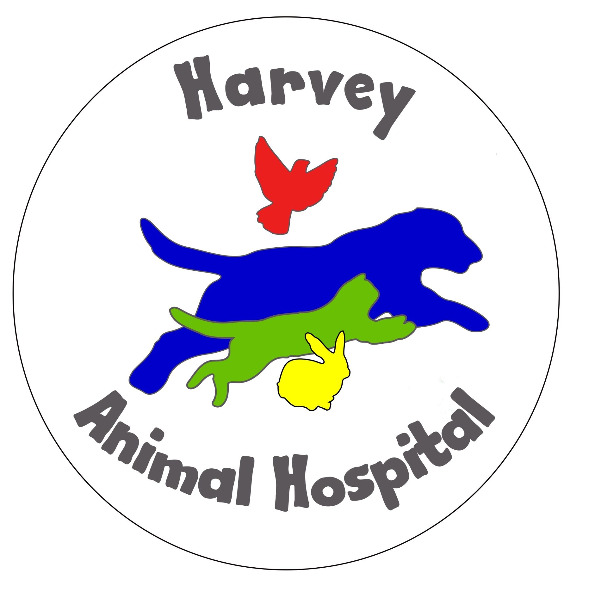 Veterinary Consulting Helps Hospital Increase Value and Cash Flow